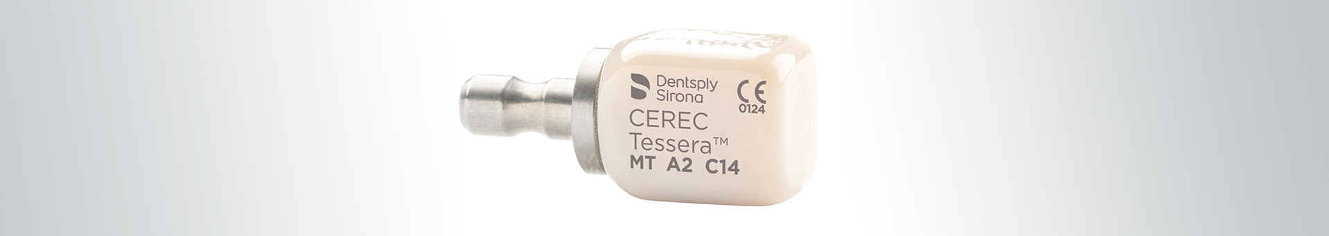 cerec tessera pdf